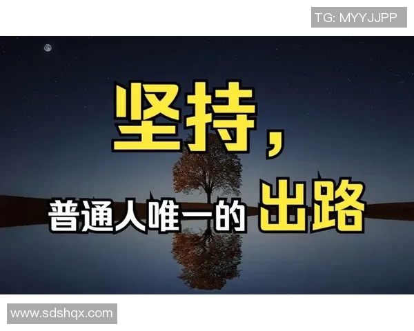 仨字篮球明星的传奇故事与辉煌成就，探寻他们背后的努力与坚持